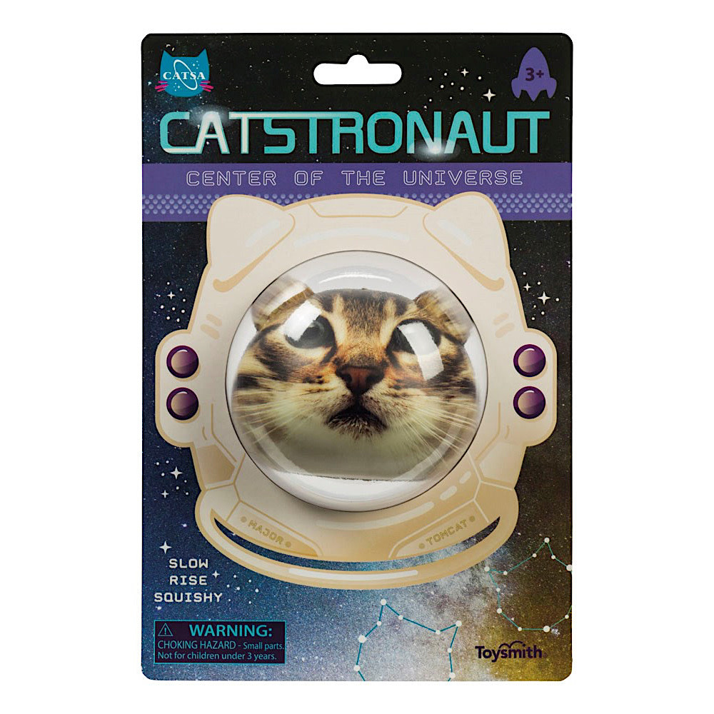 Catstronaut