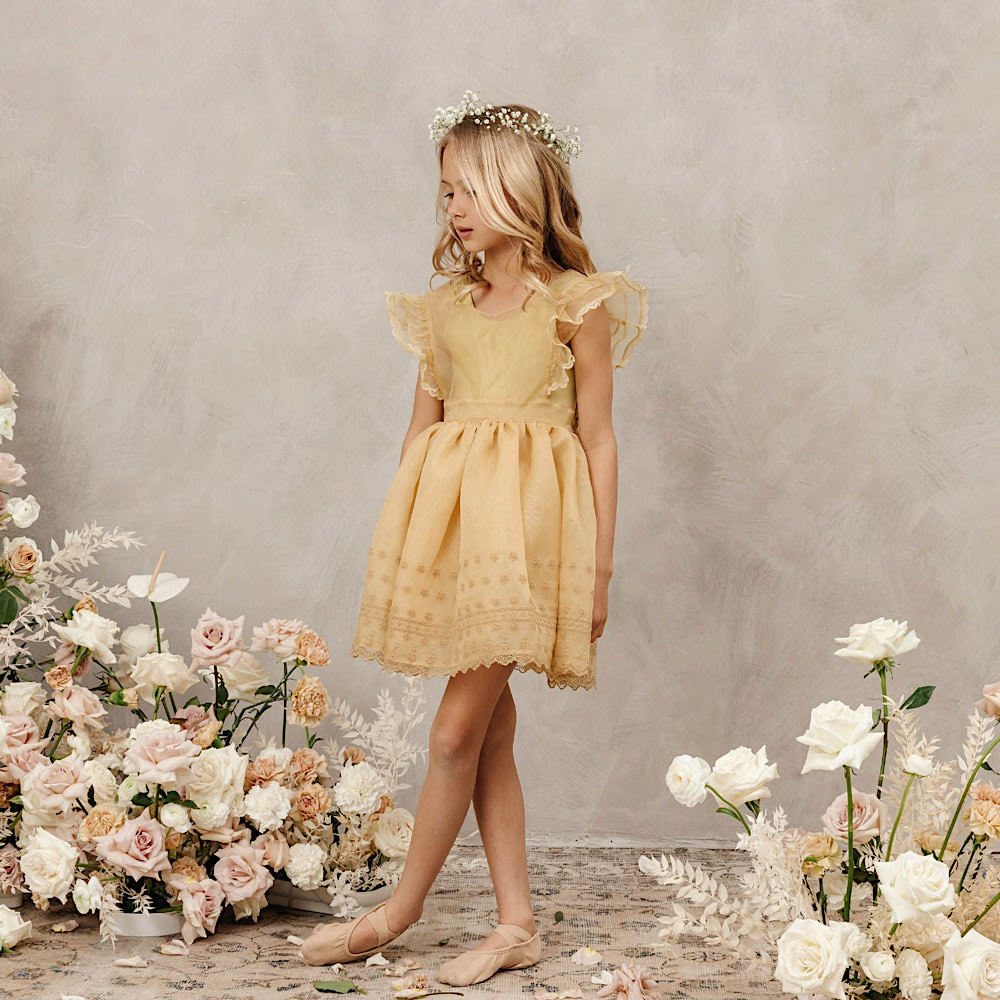Noralee Provence Dress - Citron