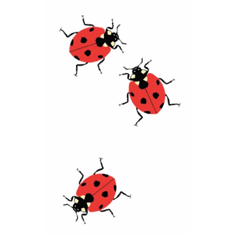 Tattly Tattly Tattoo 2-Pack - Ladybugs