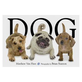 Simon & Schuster Dog Board Book