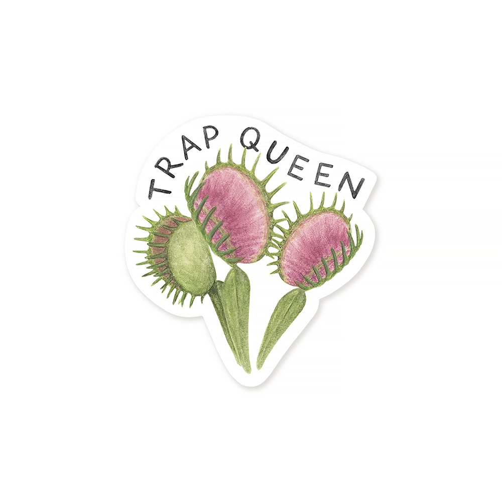 Amy Zhang Amy Zhang - Trap Queen Sticker