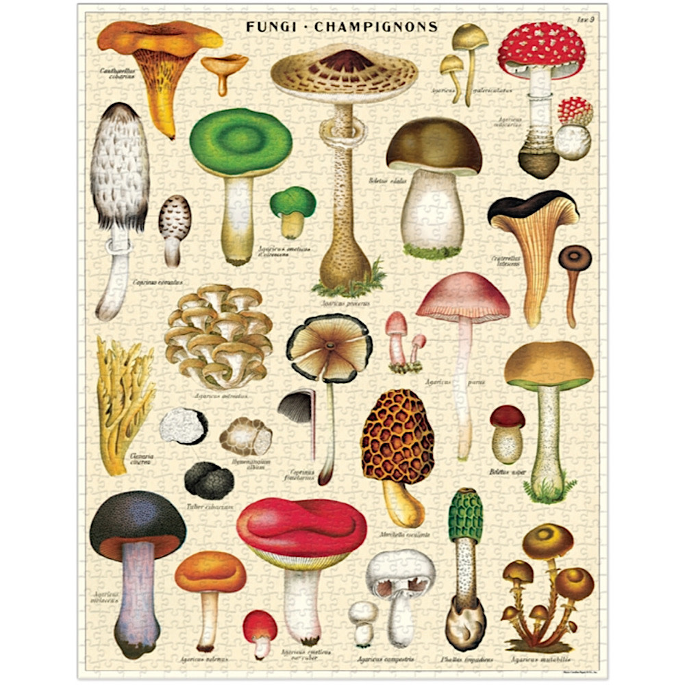 Cavallini 1000 Piece Puzzle - Mushrooms