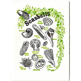 Saturn Press Saturn Press  Seashells Card