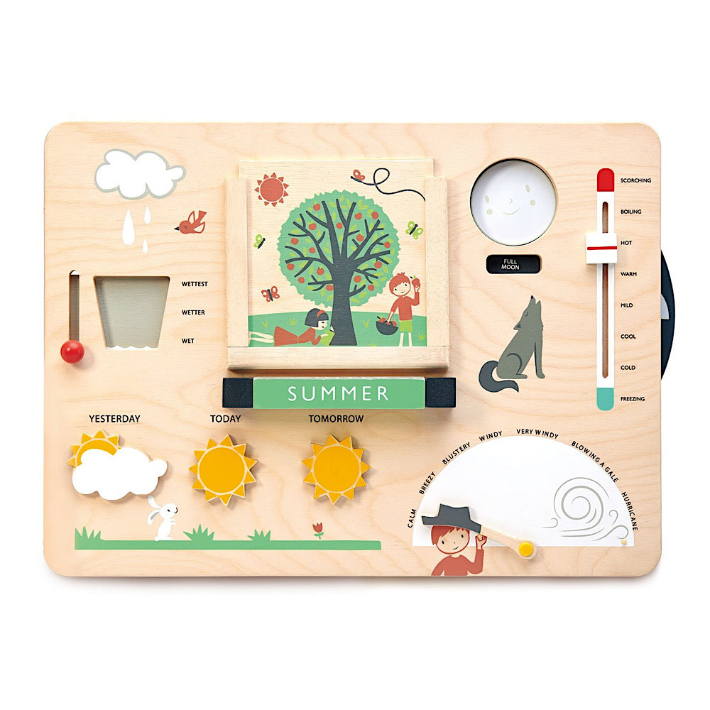 Tender Leaf Tender Leaf Toys - Weather Watch