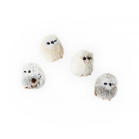 One Hundred 80 Degrees Baby Owl Ornament - Assorted