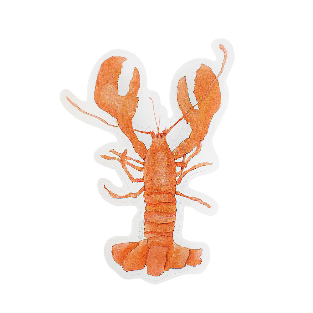 Sara Fitz Sticker - Lobster