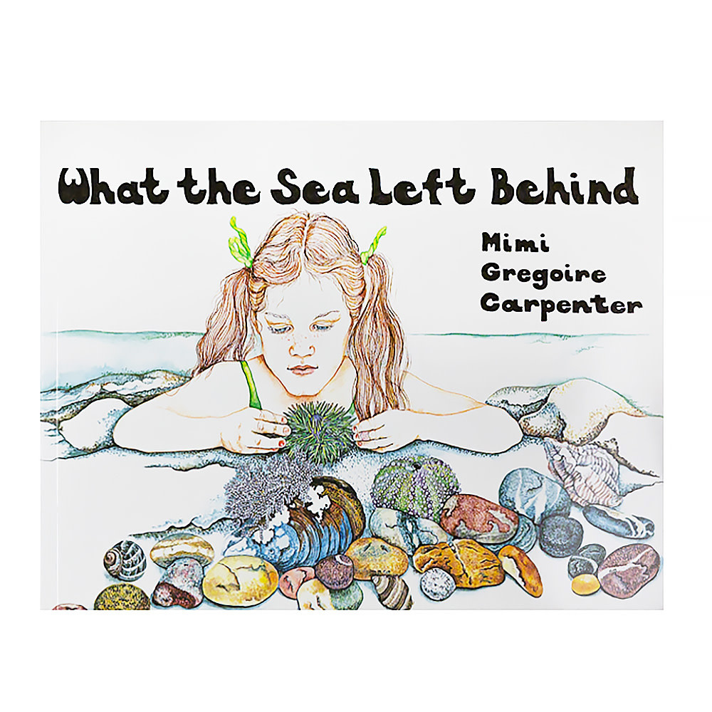 Down East Books What the Sea Left Behind
