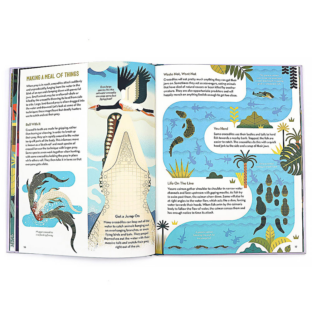 Curious About Crocodiles Hardcover Book