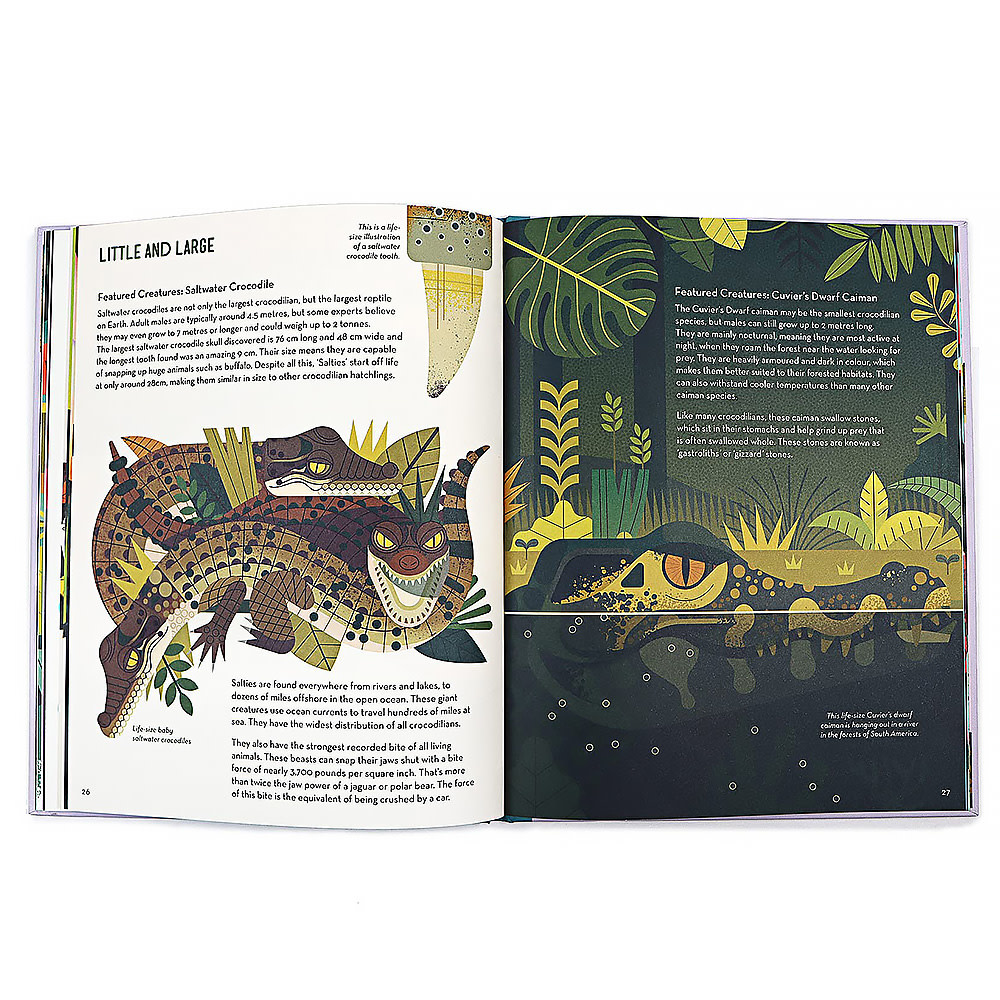 Curious About Crocodiles Hardcover Book