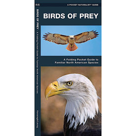 Down East Books Waterford Nature Guide - Birds of Prey
