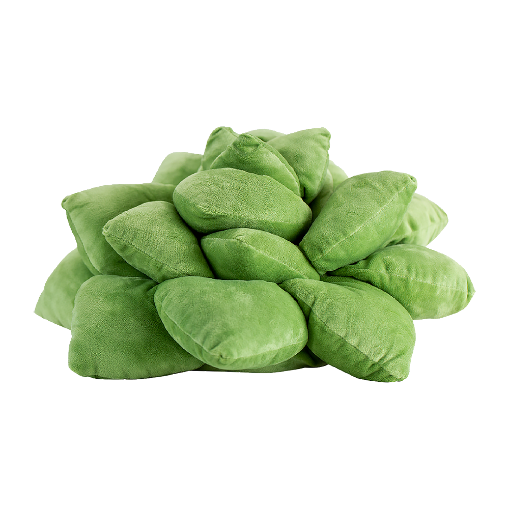 Succulent Plush Pillow - Olive Green