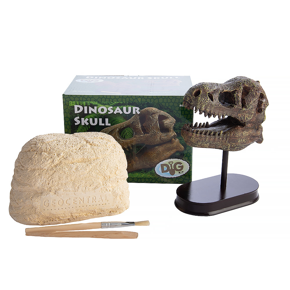 Excavation Kit - Dinosaur Skull