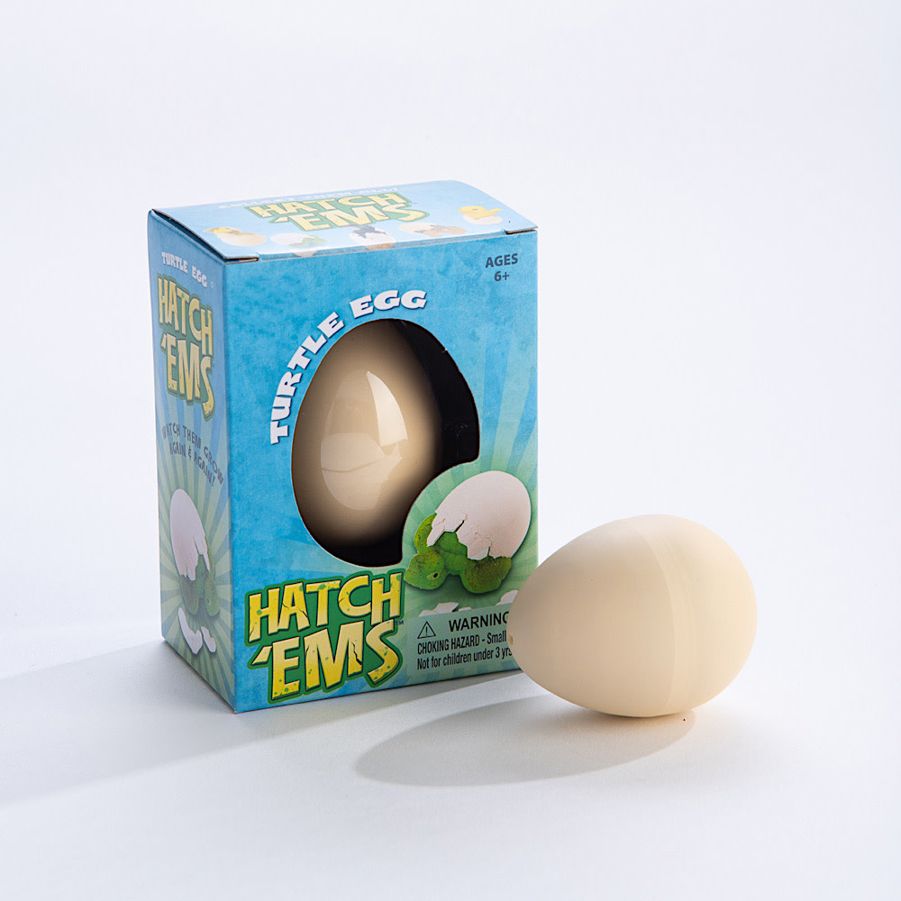 GeoCentral Turtle Egg Hatch'ems