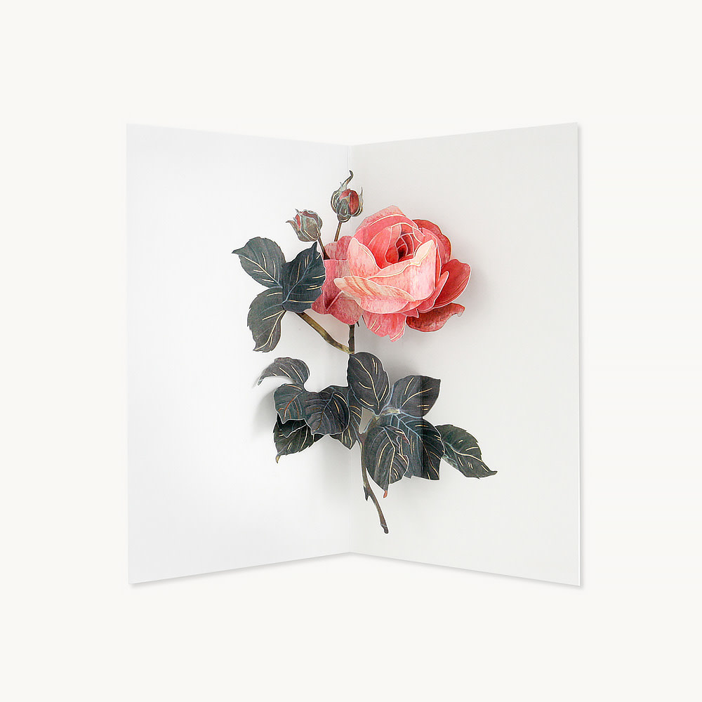 Pop Up Card - Rose