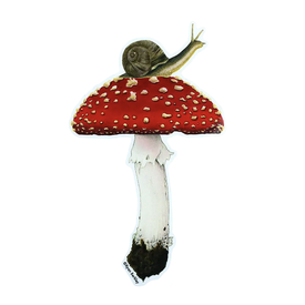 Buy Olympia Berkley Illustration - Mushroom Sticker