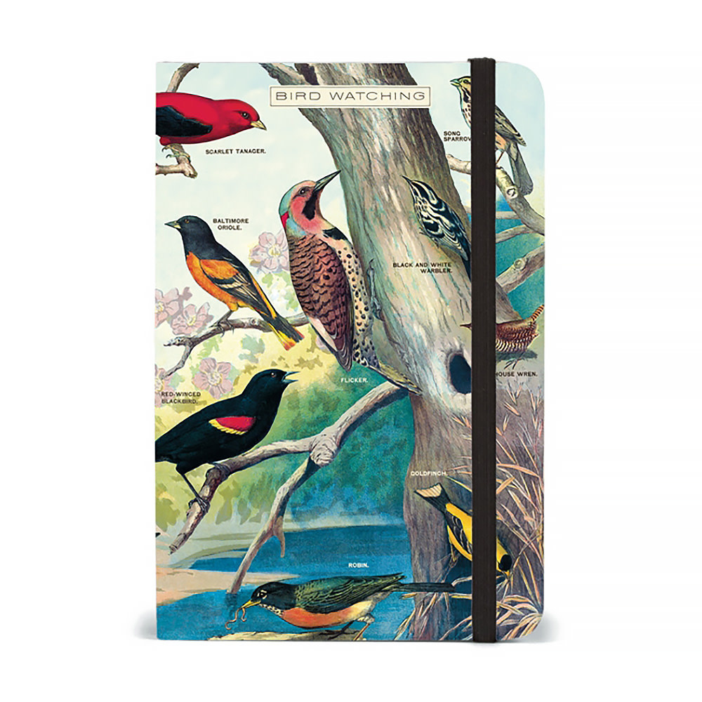 Cavallini Mini Notebook - Bird Watching