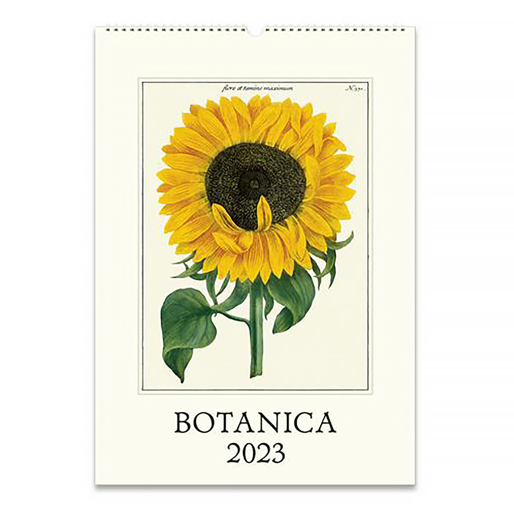 Cavallini Papers & Co., Inc. Cavallini Wall Calendar - Botanica 2023