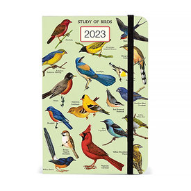 Cavallini Papers & Co., Inc. Cavallini Weekly Planner - Study Of Birds 2023