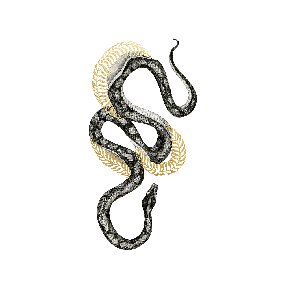 Tattly Tattly Tattoo 2-Pack - Shimmering Serpent