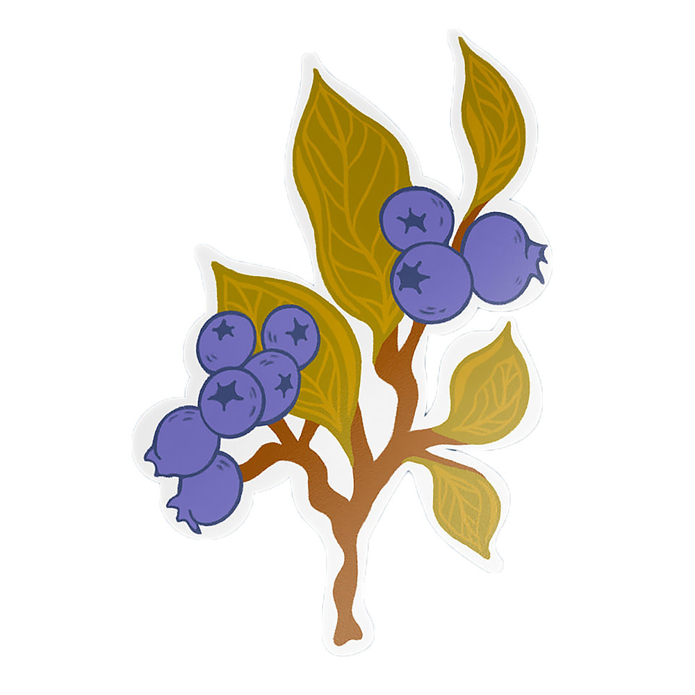 Little Something Co. Little Something Co. Sticker - Blueberry Branch