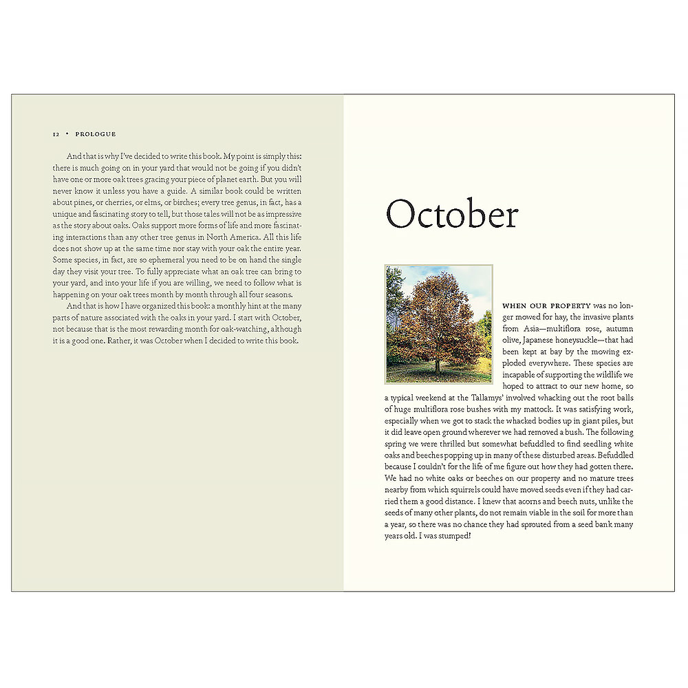 The Nature of Oaks Hardcover Book