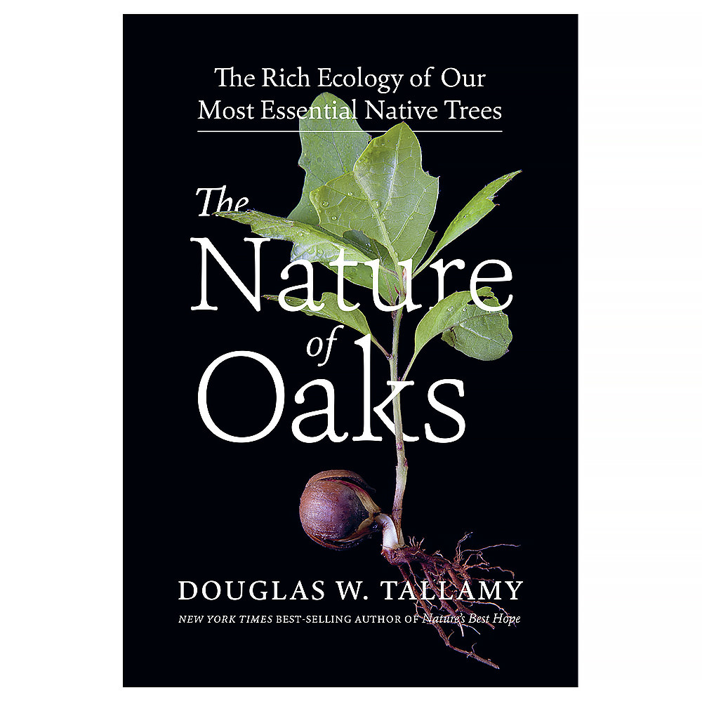Workman Publishing Company The Nature of Oaks Hardcover Book