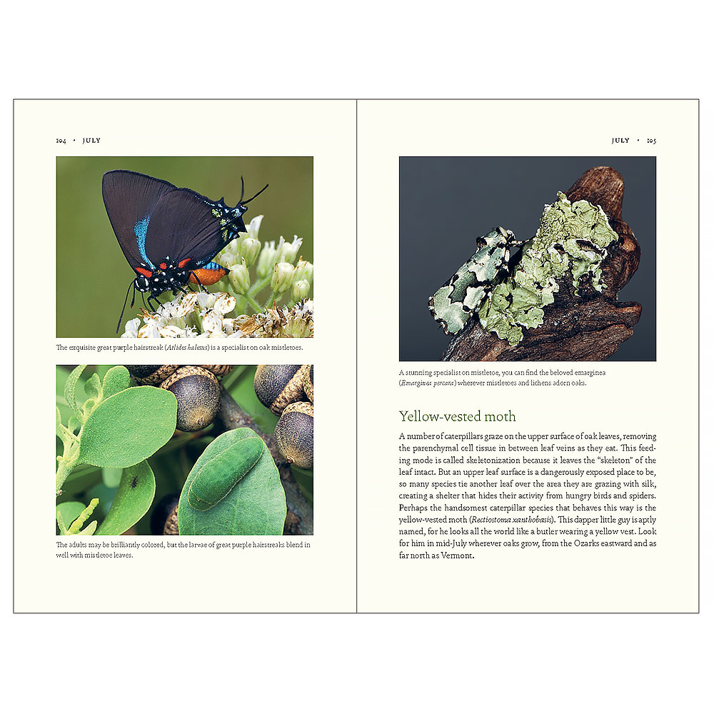 The Nature of Oaks Hardcover Book