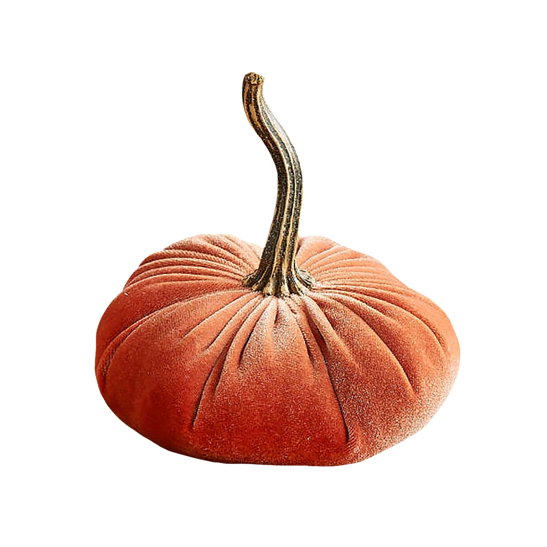 Your Heart's Content - Small Velvet Pumpkin - Harvest
