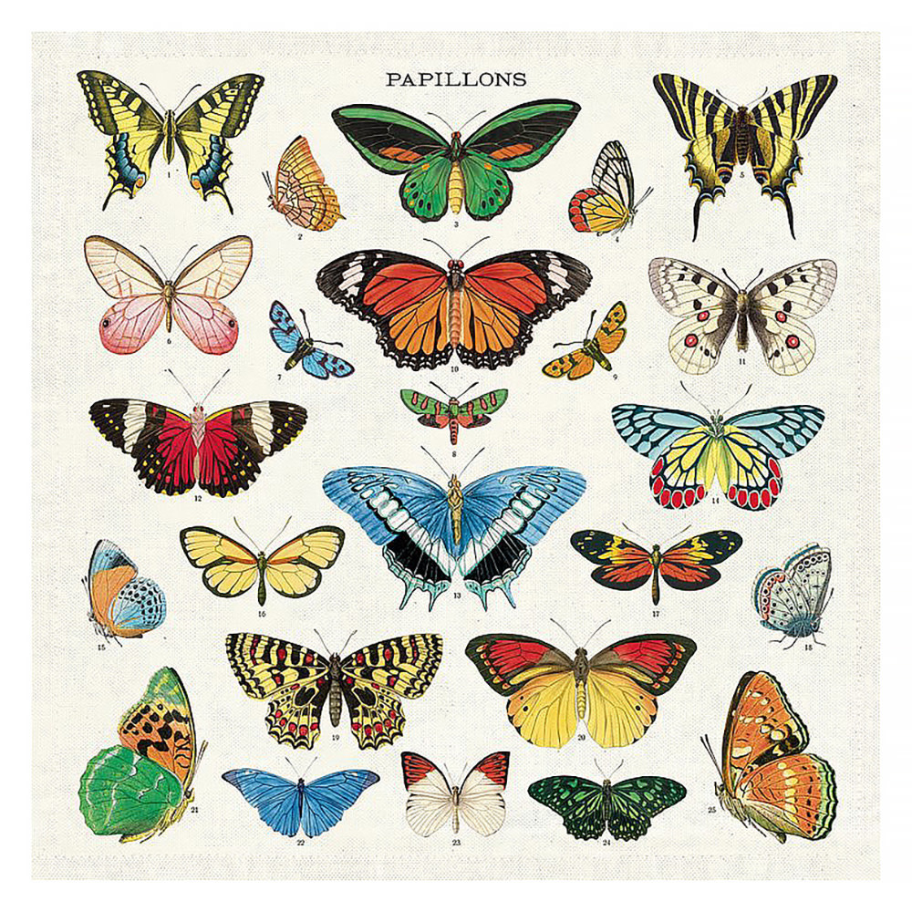 Cavallini Papers & Co., Inc. Cavallini Vintage Cloth Napkins - Set of 4 - Butterflies