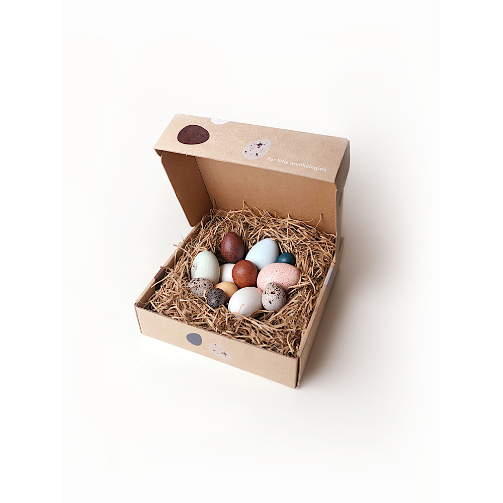 Moon Picnic Dozen Bird Eggs in a Box