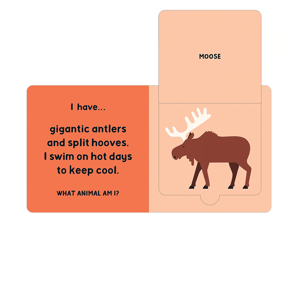 Forest Tracks: What Animal Am I? - Lift-the-Flap Board Book
