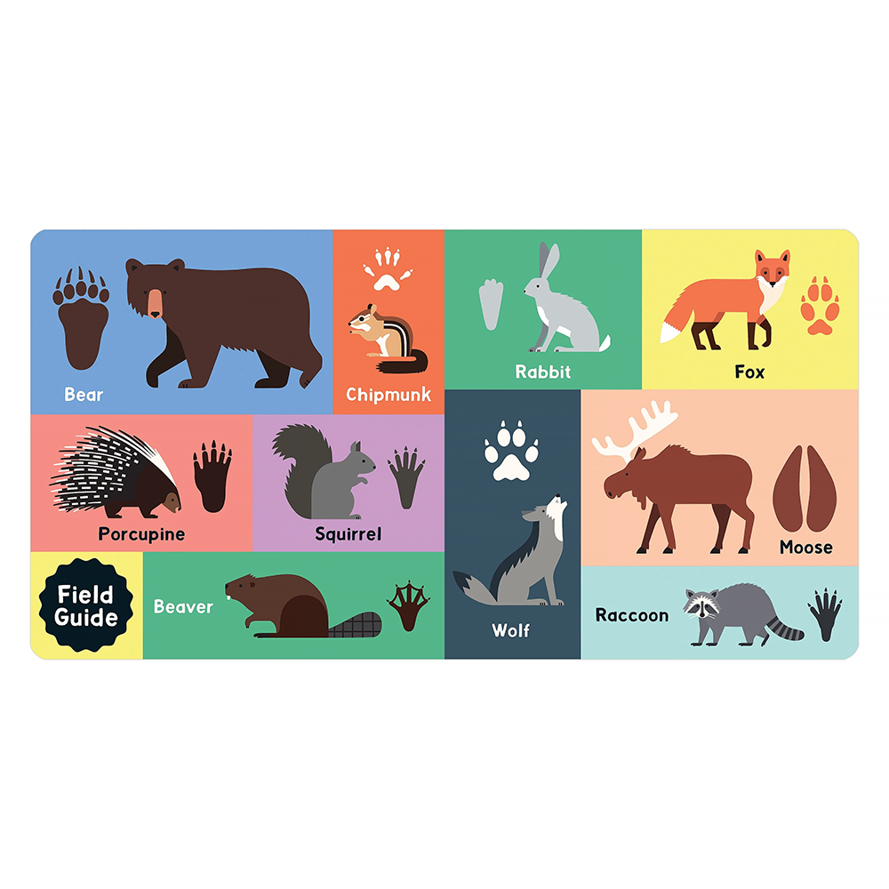 Forest Tracks: What Animal Am I? - Lift-the-Flap Board Book