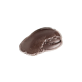 Bixby Chocolate Bixby Chocolate - Peanut Butter Dark Ganache Lobster Claw