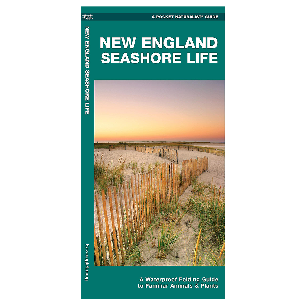 A Pocket Naturalist Guide - New England Seashore Life