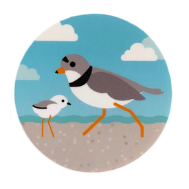 Mary Reed Piping Plover Vinyl Sticker