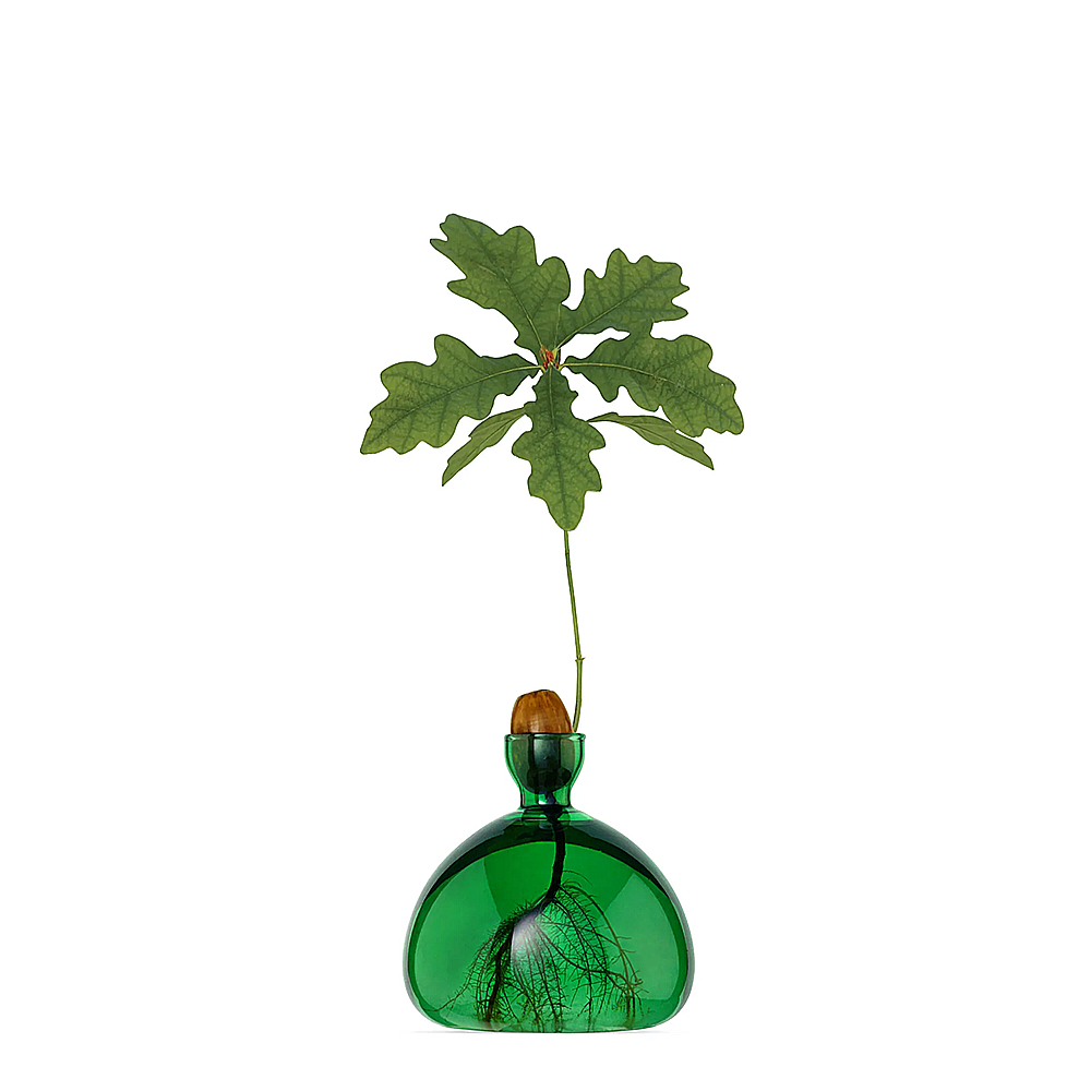 ILEX Studios Acorn Vase - Emerald Green