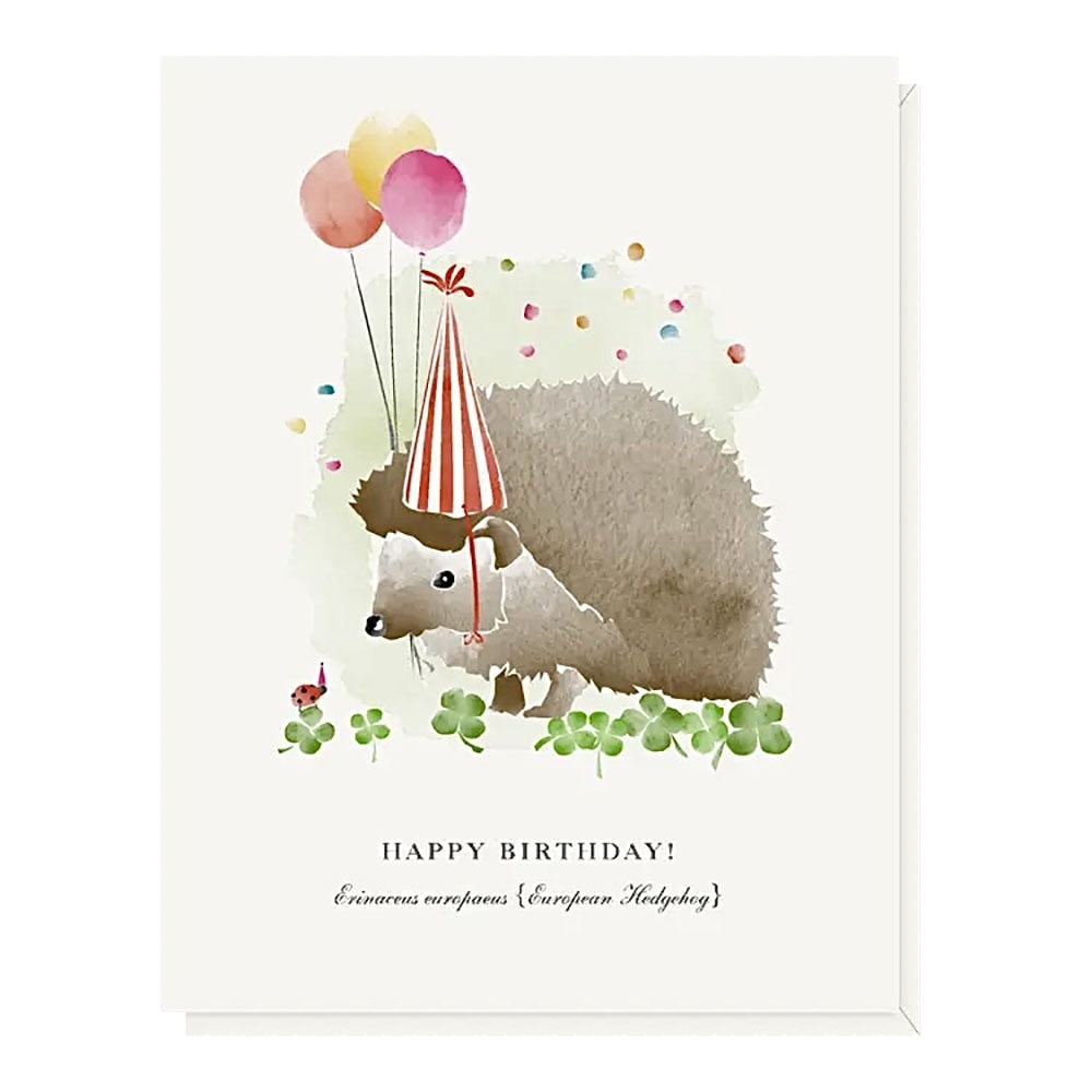 Driscoll Design - Hedgehog Birthday Card