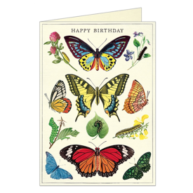 Cavallini Papers & Co., Inc. Cavallini Card - Happy Birthday Butterflies