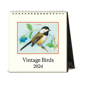 Cavallini Papers & Co., Inc. Cavallini Desk Calendar - Vintage Birds 2024