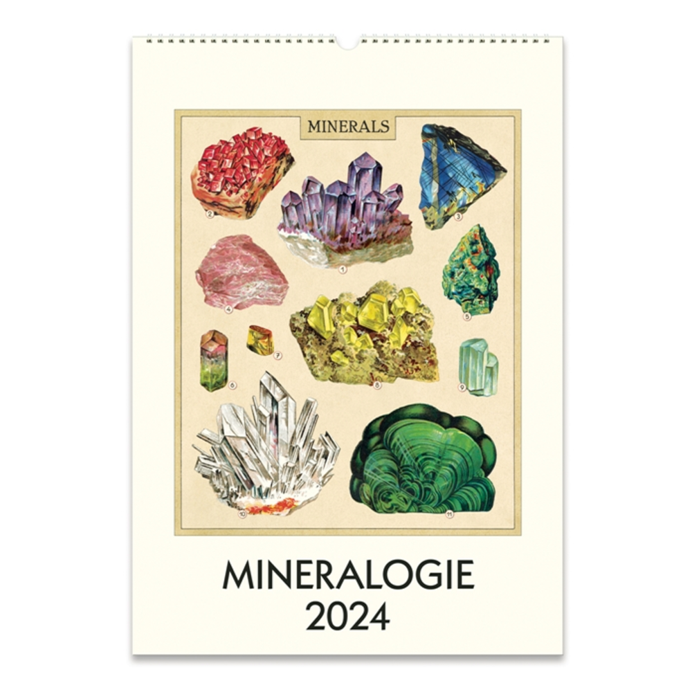 Cavallini Wall Calendar - Mineralogie 2024