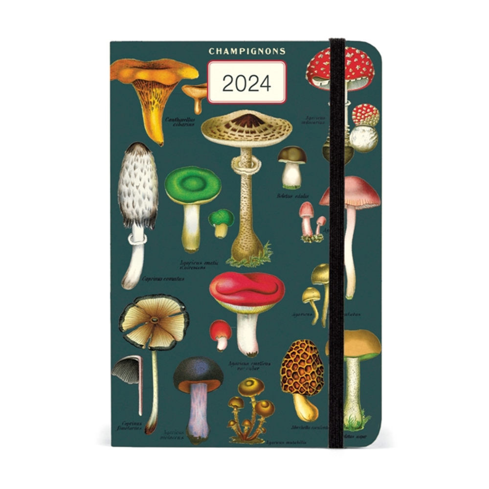 Cavallini Papers & Co., Inc. Cavallini Weekly Planner - Mushrooms 2024