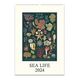 Cavallini Papers & Co., Inc. Cavallini Wall Calendar - Sea Life 2024