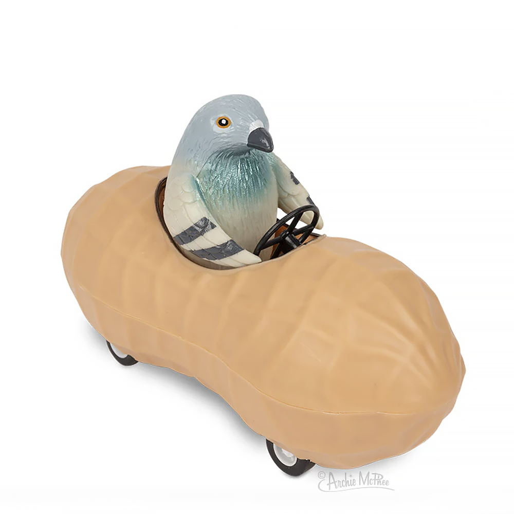 Racing Pigeon in a Peanut