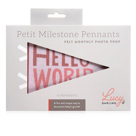 Lucy Darling Lucy Darling - Blushing Meadow Petit Milestone Pennant