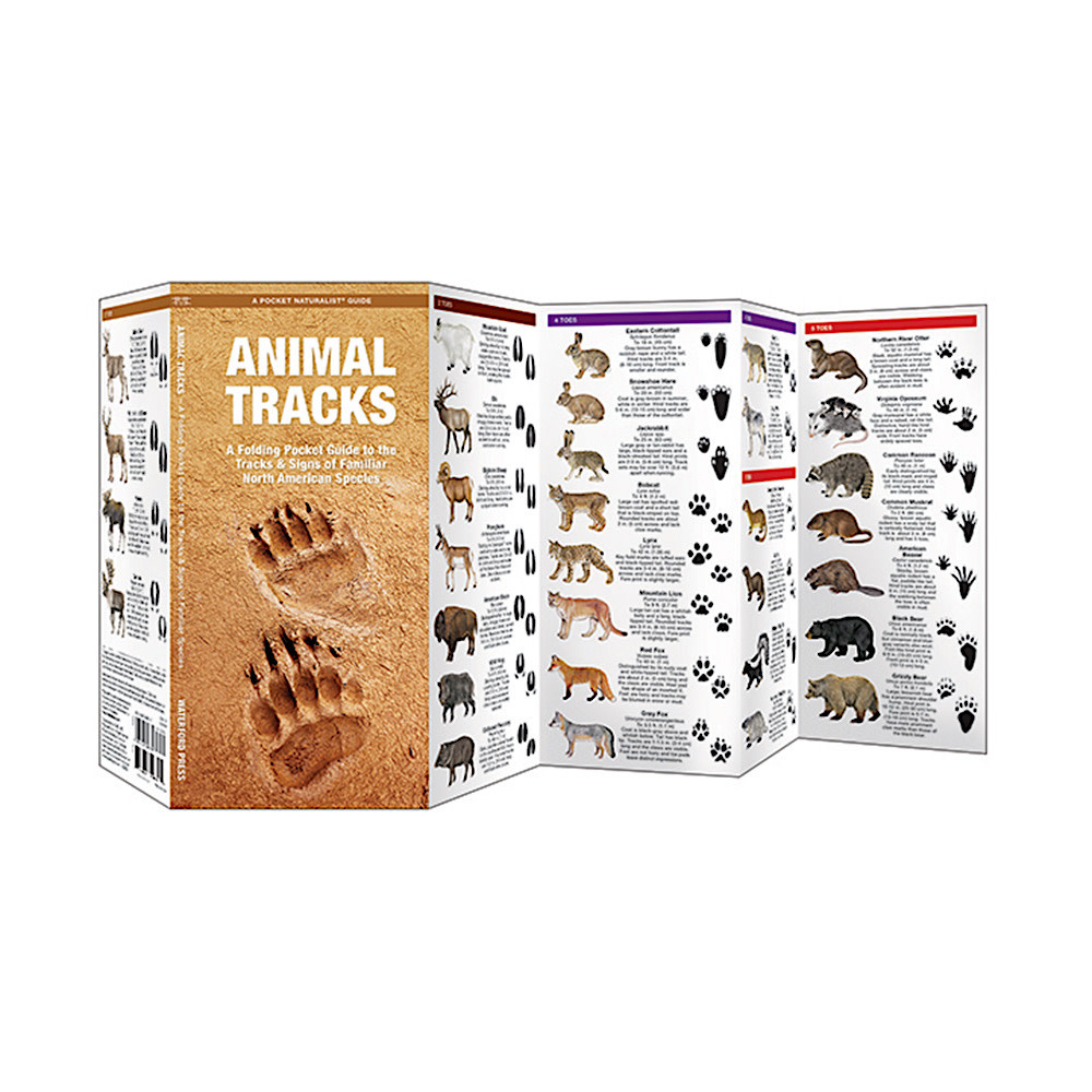 A Pocket Naturalist Guide - Animal Tracks