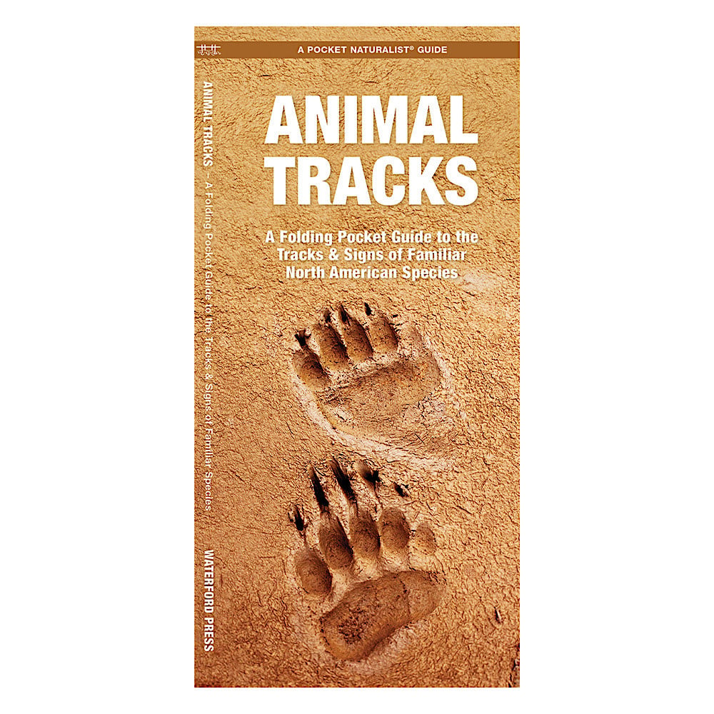 A Pocket Naturalist Guide - Animal Tracks