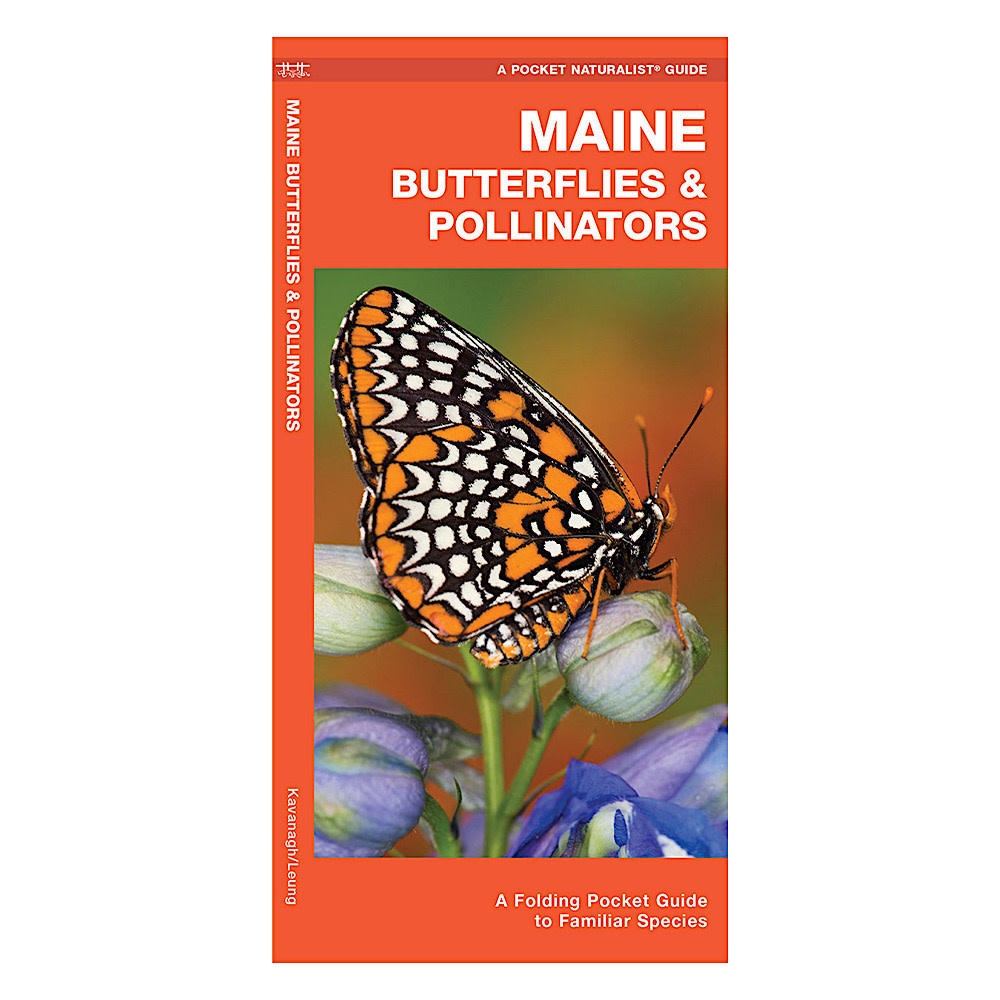A Pocket Naturalist Guide - Maine Butterflies & Pollinators