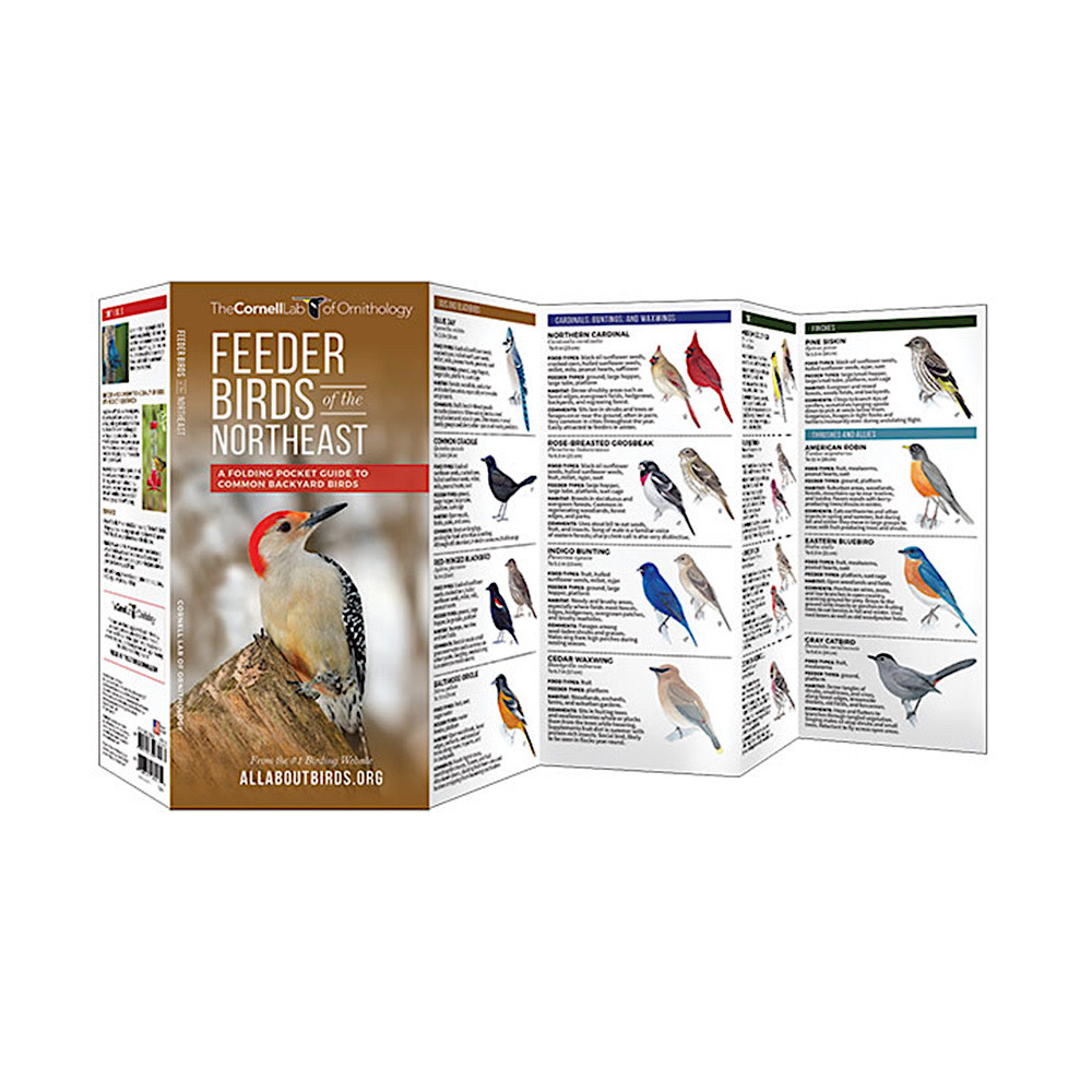 A Pocket Naturalist Guide - Feeder Birds of the Northeast