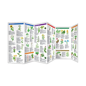 Waterford Press A Pocket Naturalist Guide - Medicinal Plants