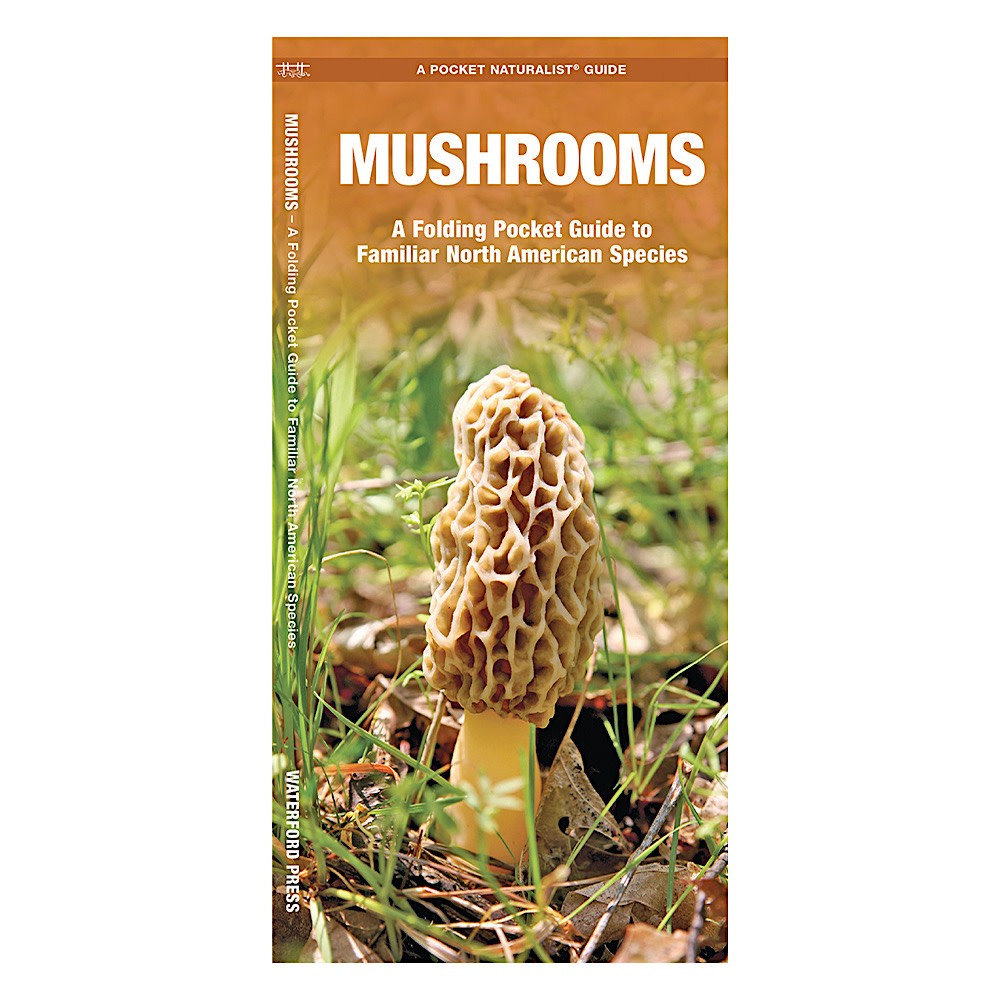 A Pocket Naturalist Guide - Mushrooms